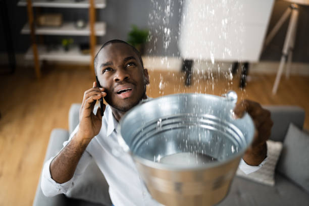 Best Ceiling water damage repair  in New Waverly, TX