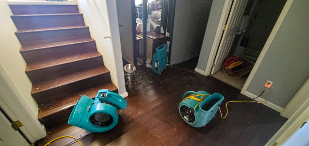 Best Local water damage restoration  in New Waverly, TX