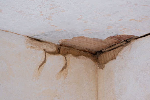  New Waverly, TX Water damage restoration Pros