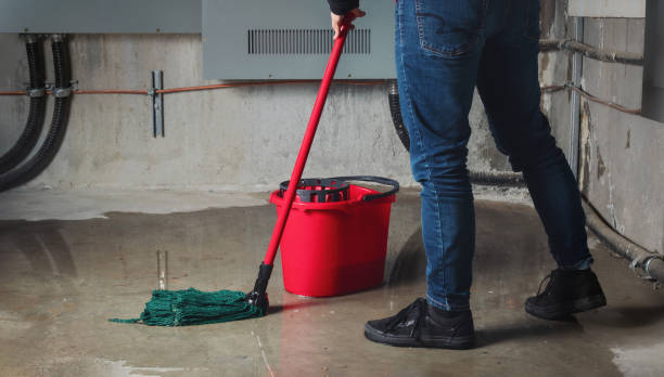 Best Water damage restoration near me  in New Waverly, TX