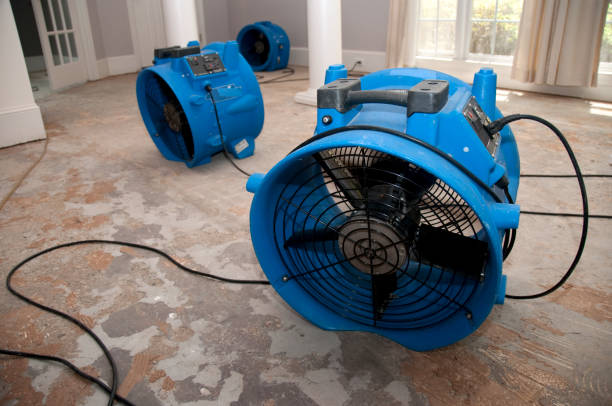 Best Fire Damage Restoration  in New Waverly, TX